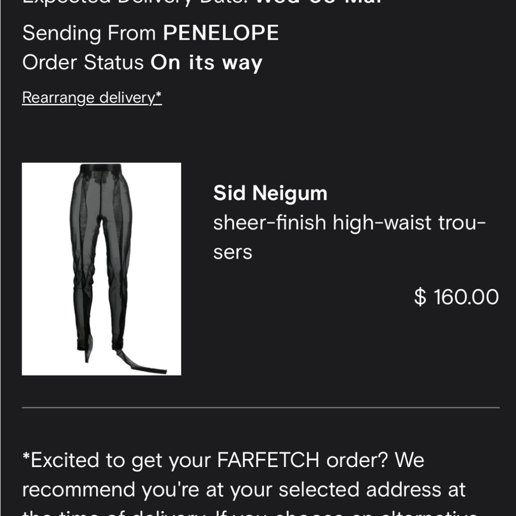 Sheer High Waist Trousers